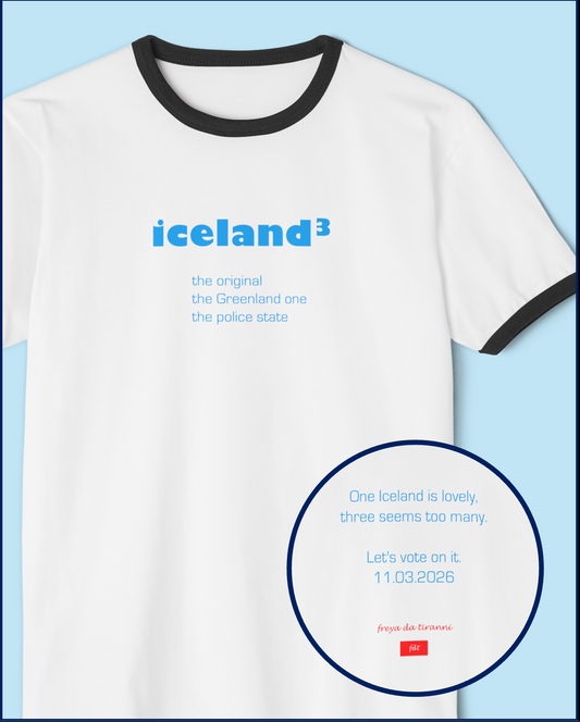 FDT Iceland Cubed Ringer T-Shirt